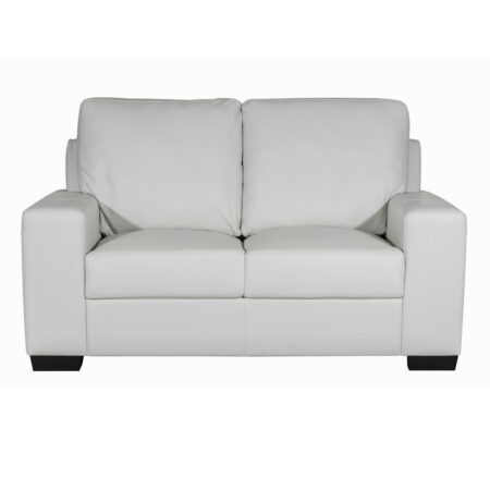 Reno Light Grey or Dark Brown Leather Loveseat