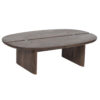 Arebol Mango Wood Coffee Table