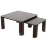 Atlas Set of 2 Mango Wood Coffee Table