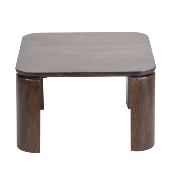 Atlas Set of 2 Mango Wood Coffee Table