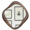 Congo Mango Wood Mirror Walnut