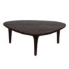 Delargo Mango Wood Coffee Table