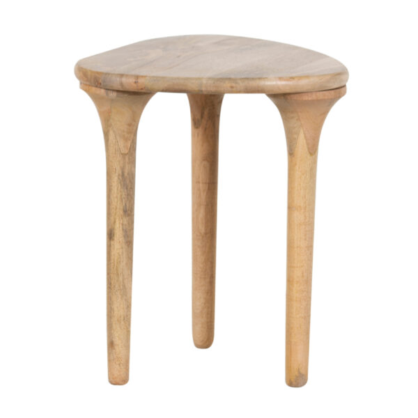 Delargo Mango Wood Side Table in Natural