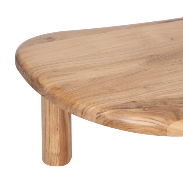 Delphine Acacia Wood Organic Coffee Table