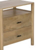 Dowen Mango Wood 2 Drawer Night Stand