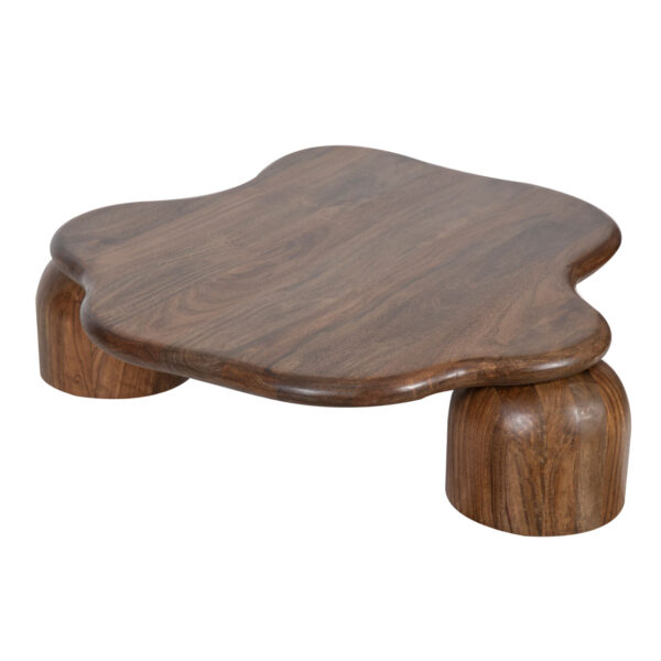 Kaith Mango Wood Coffee Table