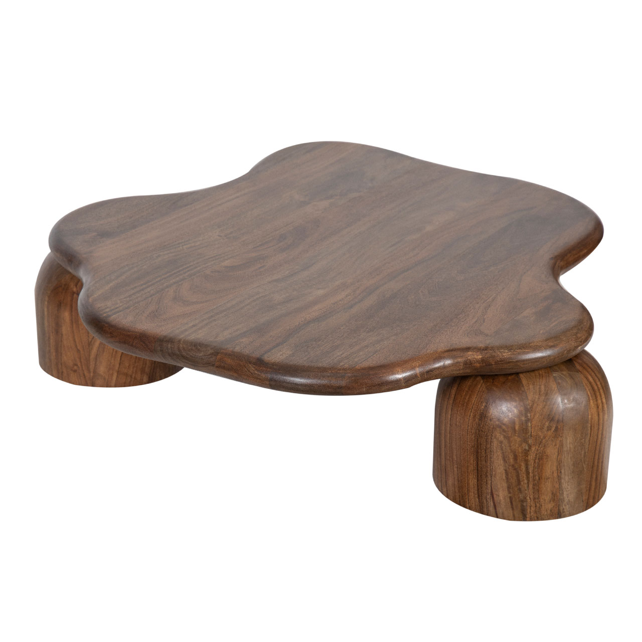 Kaith Mango Wood Coffee Table