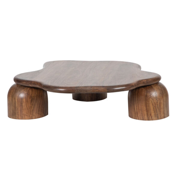 Kaith Mango Wood Coffee Table