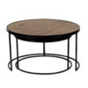 Nested Mango Wood Top Metal Base Set of 2 Tables