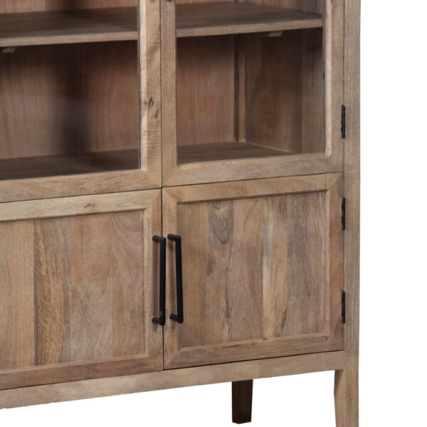 Pattie Mango Wood Glass 2 Door Cabinet