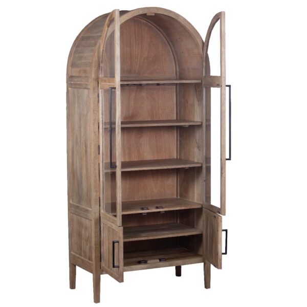 Pattie Mango Wood Glass 2 Door Cabinet