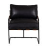 Romuca Leather Metal Arm Chair