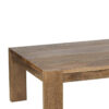 Terra Mango Wood Coffee Table